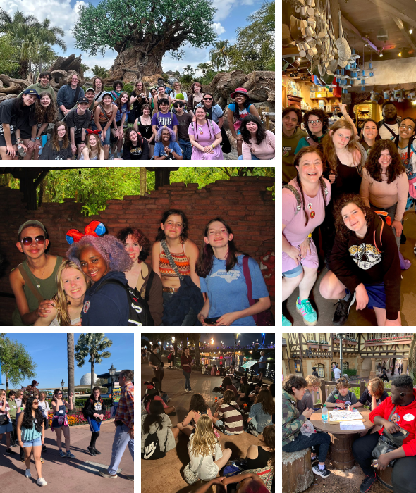 news_wdw2025 news_wdw2025